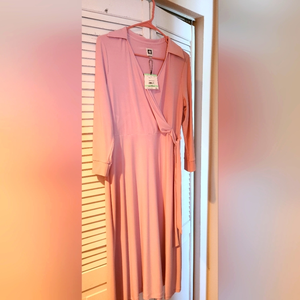 Anne Klein blush dress